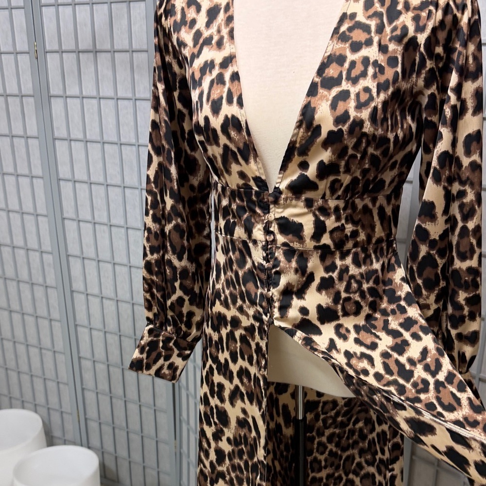 Mable, Chic Animal Print V-Neck Dress, Size Large - Picture 11 of 13